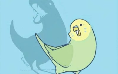 Filosofie cafe Geluksvogels 9 juni in de kreek